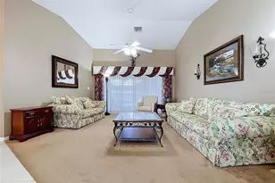 12380 Tansboro St, Spring Hill, FL 34608 - Photo 46
