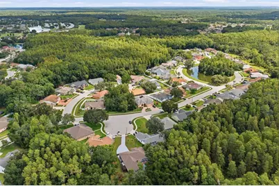 4710 Basswood Street, Land O Lakes, FL 34639 - Photo 44