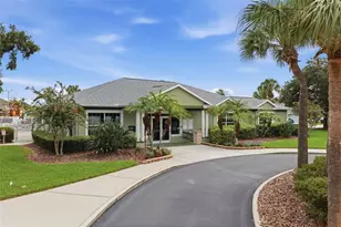 4710 Basswood St, Land O Lakes, FL 34639 - Photo 46