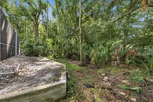 4710 Basswood St, Land O Lakes, FL 34639 - Photo 34