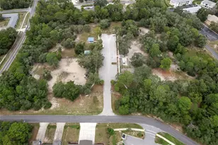 10370 Sandlor St, Spring Hill, FL 34608 - Photo 60