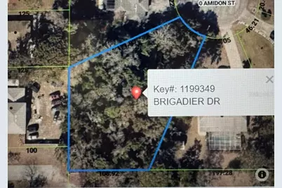 1453 Brigadier Drive, Spring Hill, FL 34608 - Photo 2