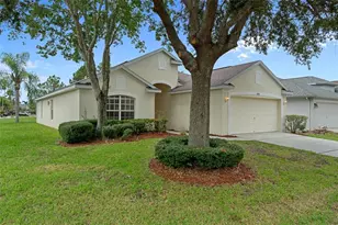 23836 Hastings Way, Land O Lakes, FL 34639 - Photo 2