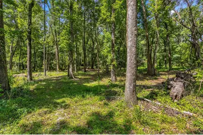 24050 Cortez Boulevard, Brooksville, FL 34601 - Photo 22