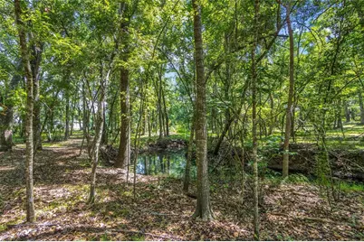 24050 Cortez Boulevard, Brooksville, FL 34601 - Photo 20