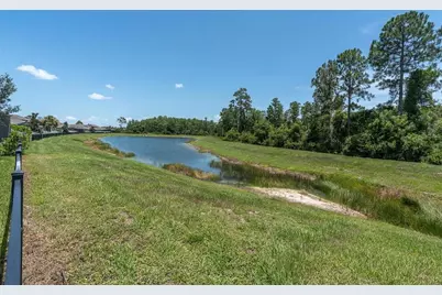 11736 Ranchers Gap Drive, Odessa, FL 33556 - Photo 56