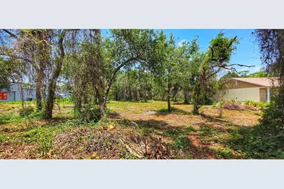 02-25-16-0000-00300-0042 State Road 52, Hudson, FL 34667 - Photo 8