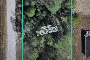 Lot 14 Barnvelde Rd, Weeki Wachee, FL 34614 - Photo 1