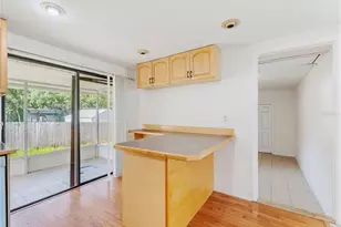 1116 E Oakwood St, Tarpon Springs, FL 34689 - Photo 20