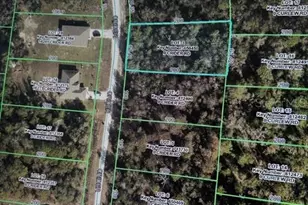 Crider Rd, Weeki Wachee, FL 34614 - Photo 1
