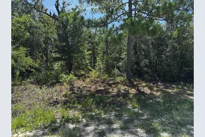 Crider Road #3, Weeki Wachee, FL 34614 - Photo 1
