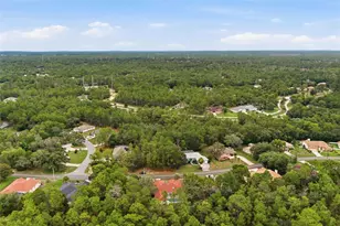 184 Pine St, Homosassa, FL 34446 - Photo 44