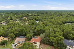 184 Pine St, Homosassa, FL 34446 - Photo 48