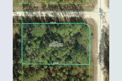 Sooty Tern Avenue, Weeki Wachee, FL 34614 - Photo 2