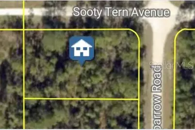 Sooty Tern Avenue, Weeki Wachee, FL 34614 - Photo 1