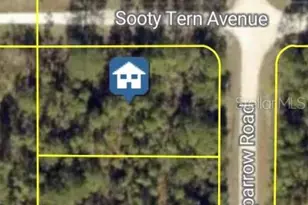 Sooty Tern Ave, Weeki Wachee, FL 34614 - Photo 1