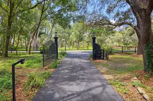 15234 Scanio, Spring Hill, FL 34610 - Photo 10