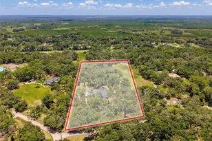 15234 Scanio, Spring Hill, FL 34610 - Photo 98