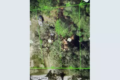 12347 Dorsey Drive, New Port Richey, FL 34654 - Photo 1