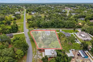 11365 Horned Owl Rd, Weeki Wachee, FL 34614 - Photo 92