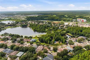 14026 Jacobson Dr, Odessa, FL 33556 - Photo 68