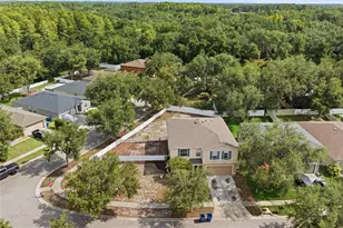 14026 Jacobson Dr, Odessa, FL 33556 - Photo 62