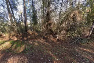 110 Pamela Dr, Satsuma, FL 32189 - Photo 1