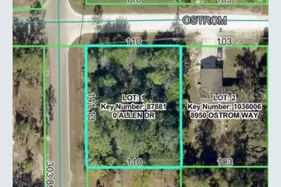 8092 Allen Drive, Weeki Wachee, FL 34613 - Photo 2