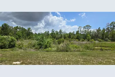 0 Lake Drive, Weeki Wachee, FL 34613 - Photo 10
