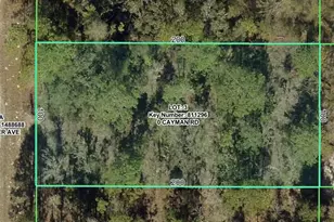 16464 Cayman Rd, Brooksville, FL 34614 - Photo 1