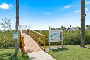 4516 Seagull Dr, New Port Richey, FL 34652 - Photo 68