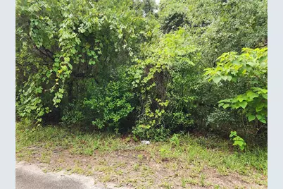00 Oak Drive #Tract 25, Hudson, FL 34669 - Photo 4