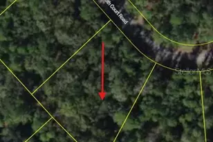 0 SW 55th Ct Rd, Ocala, FL 34473 - Photo 1