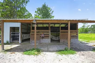 5730 SE 120 Ave, Morriston, FL 32668 - Photo 46