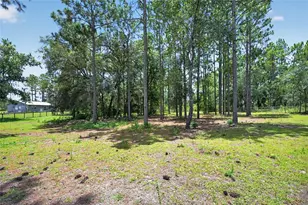 5730 SE 120 Ave, Morriston, FL 32668 - Photo 50