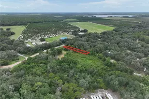186 Avon Park Cutoff Rd, Frostproof, FL 33843 - Photo 1