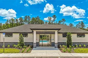 7181 Broad River Ave, Land O Lakes, FL 34638 - Photo 42