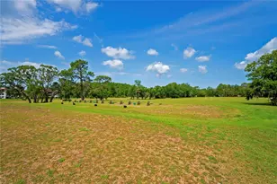 4 Spruce Pine Ct N, Homosassa, FL 34446 - Photo 76