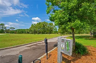 4 Spruce Pine Ct N, Homosassa, FL 34446 - Photo 74