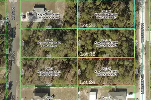 18105 Macassar Rd, Weeki Wachee, FL 34614 - Photo 1