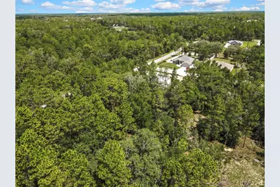 0 English Sparrow Road, Weeki Wachee, FL 34614 - Photo 10