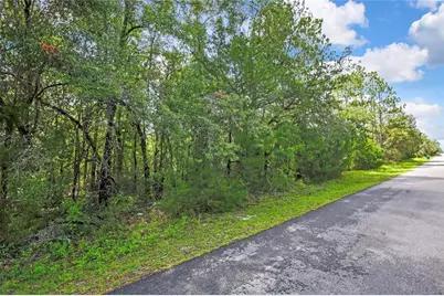 0 English Sparrow Road, Weeki Wachee, FL 34614 - Photo 1