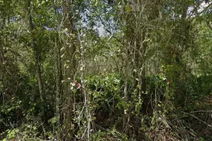 11457 Tulane St, New Port Richey, FL 34654 - Photo 1