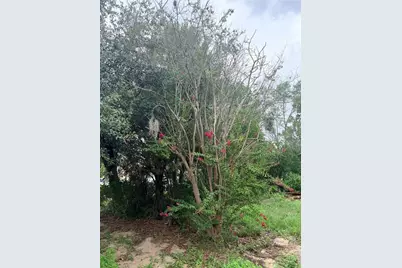 11411 Sagamore Street, Spring Hill, FL 34609 - Photo 2