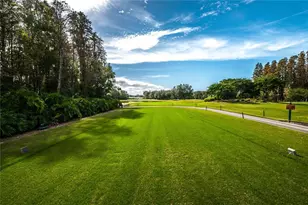 1063 Dartford Dr, Tarpon Springs, FL 34688 - Photo 66
