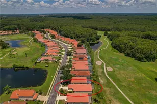 1063 Dartford Dr, Tarpon Springs, FL 34688 - Photo 44