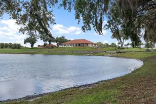 30798 Water Lily Dr, Brooksville, FL 34602 - Photo 56