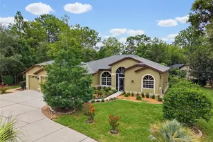 1 Plumbago Dr, Homosassa, FL 34446 - Photo 2