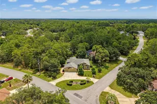 1 Plumbago Dr, Homosassa, FL 34446 - Photo 48