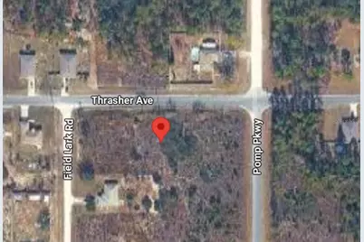 13101 Thrasher Avenue, Weeki Wachee, FL 34614 - Photo 4
